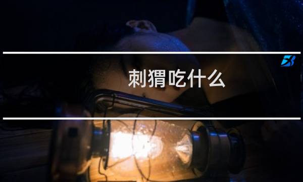 刺猬吃什么