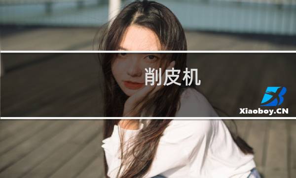 削皮机图片
