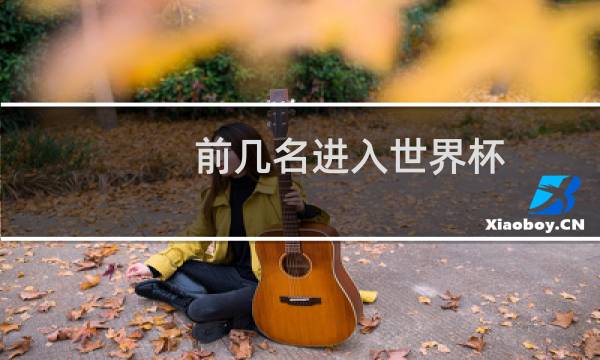 前几名进入世界杯