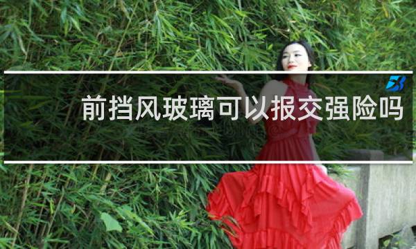 前挡风玻璃可以报交强险吗图片