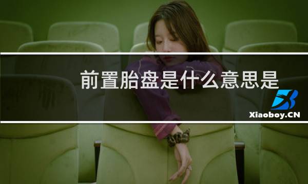 前置胎盘是什么意思是胎盘低吗(前置胎盘是什么意思)