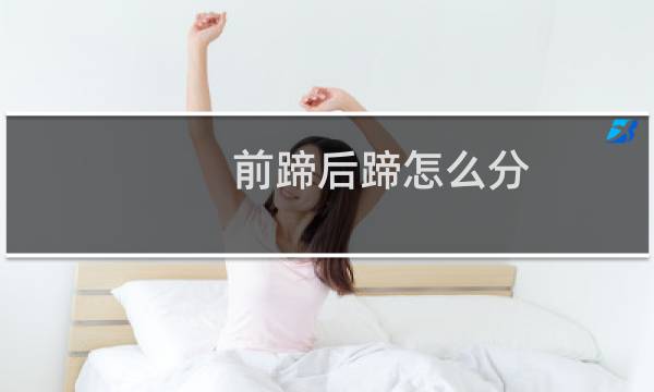 前蹄后蹄怎么分