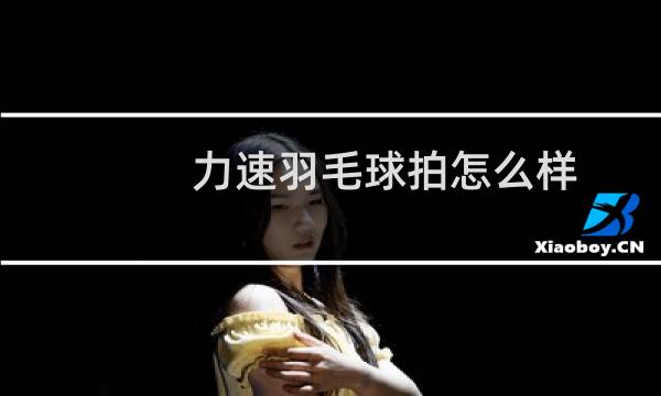 力速羽毛球拍怎么样
