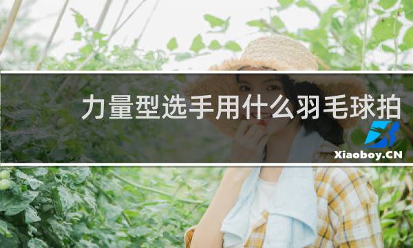 力量型选手用什么羽毛球拍