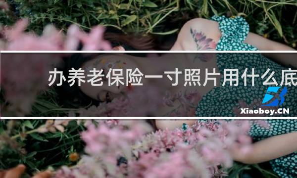 办养老保险一寸照片用什么底