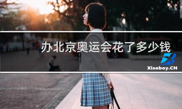 办北京奥运会花了多少钱