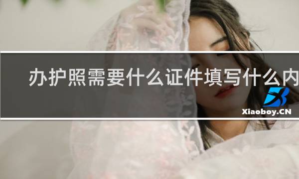 办护照需要什么证件填写什么内容