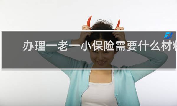 办理一老一小保险需要什么材料