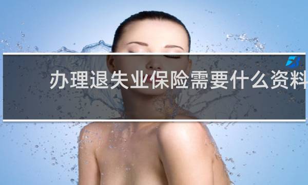 办理退失业保险需要什么资料
