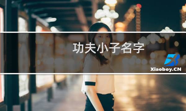 功夫小子名字（功夫小子名字）图片