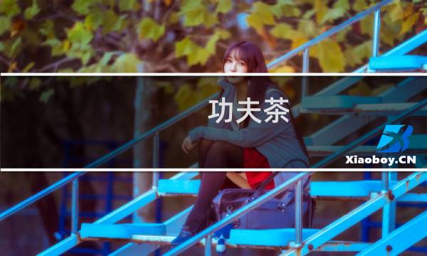 功夫茶（天河区特产）