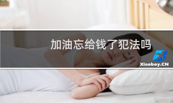 加油忘给钱了犯法吗