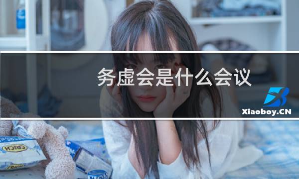 务虚会是什么会议（务虚会是什么意思）