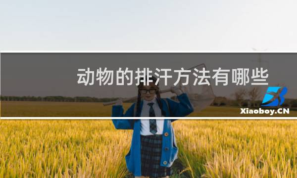 动物的排汗方法有哪些