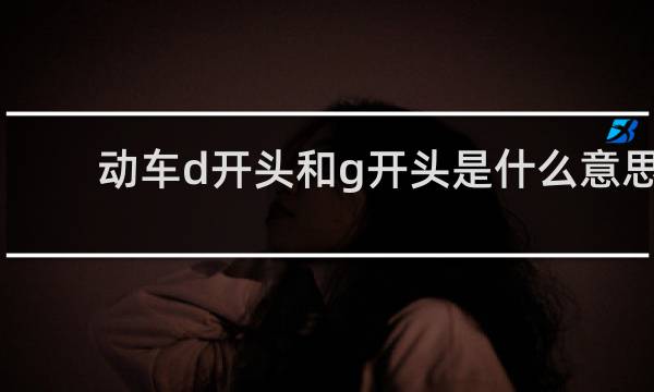 动车d开头和g开头是什么意思