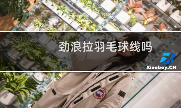 劲浪拉羽毛球线吗