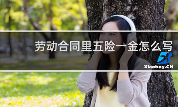 劳动合同里五险一金怎么写