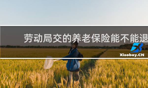 劳动局交的养老保险能不能退