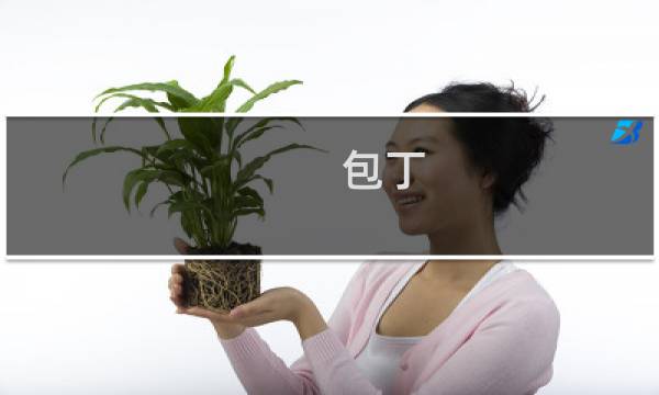 包丁图片