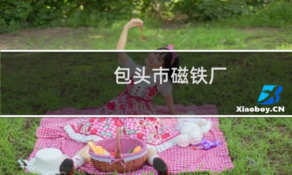 包头市磁铁厂
