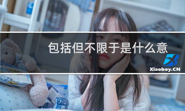 包括但不限于是什么意思司法解释（包括但不限于是什么意思）