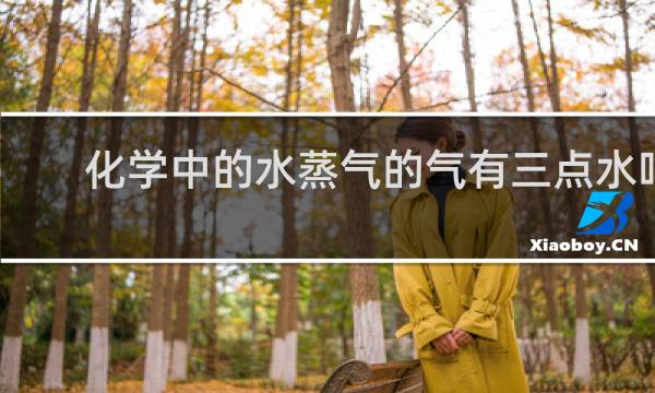 化学中的水蒸气的气有三点水吗