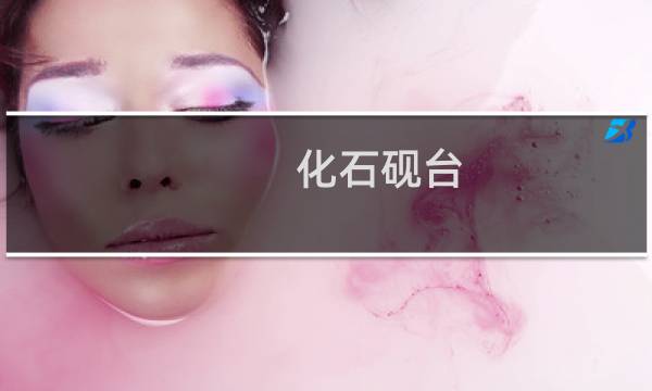 化石砚台