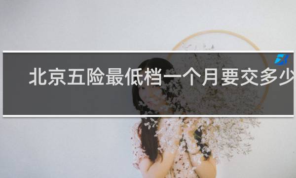 北京五险最低档一个月要交多少钱