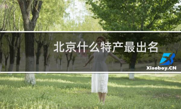 北京什么特产最出名图片