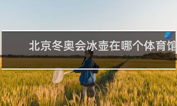 北京冬奥会冰壶在哪个体育馆