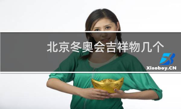 北京冬奥会吉祥物几个