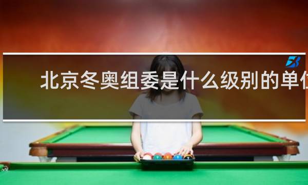 北京冬奥组委是什么级别的单位