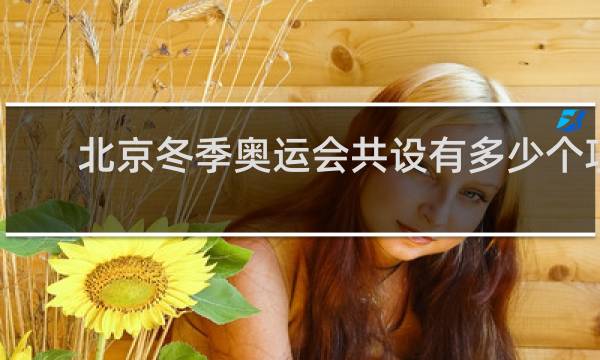 北京冬季奥运会共设有多少个项目
