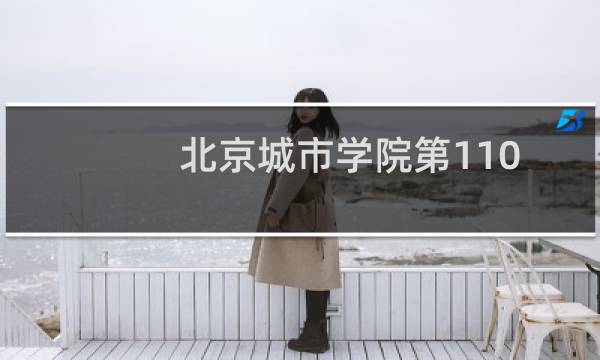 北京城市学院第110组有哪些专业 录取多少分人