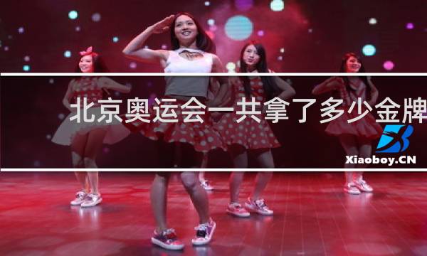 北京奥运会一共拿了多少金牌