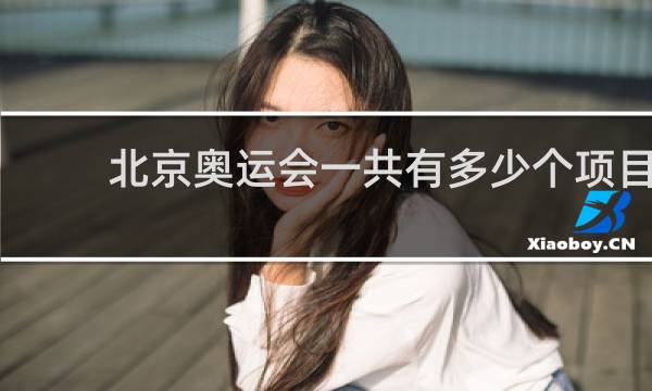 北京奥运会一共有多少个项目