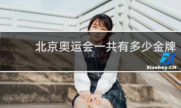 北京奥运会一共有多少金牌