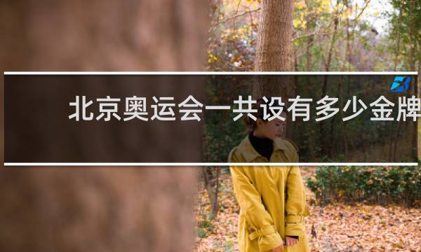 北京奥运会一共设有多少金牌
