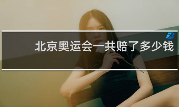 北京奥运会一共赔了多少钱