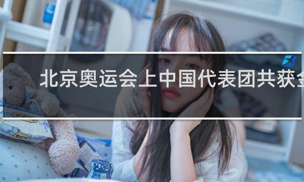 北京奥运会上中国代表团共获金牌多少枚