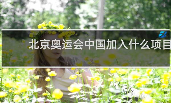 北京奥运会中国加入什么项目
