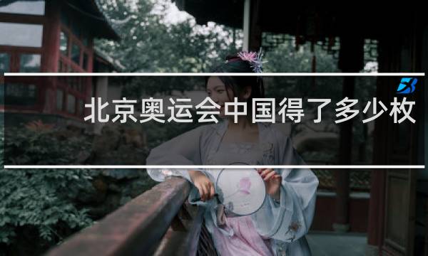 北京奥运会中国得了多少枚