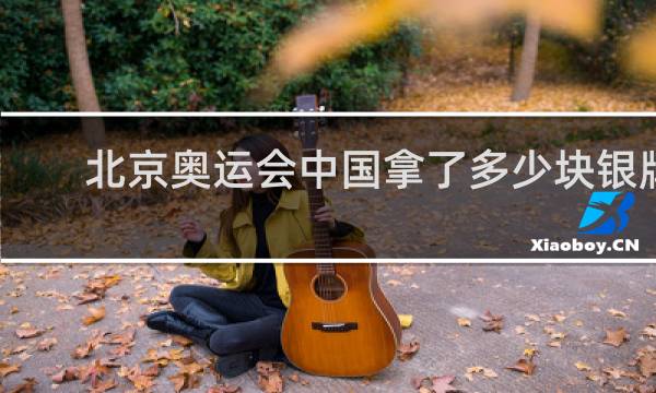 北京奥运会中国拿了多少块银牌