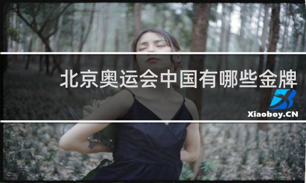 北京奥运会中国有哪些金牌