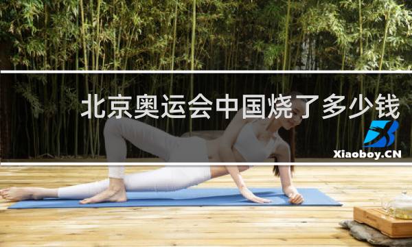 北京奥运会中国烧了多少钱