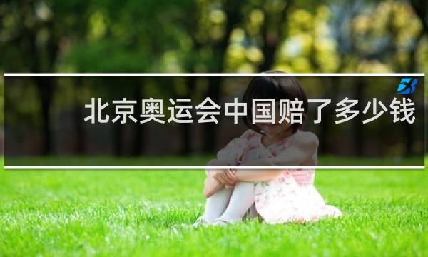 北京奥运会中国赔了多少钱