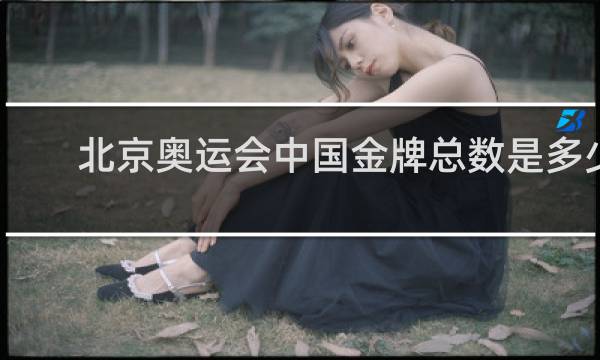 北京奥运会中国金牌总数是多少