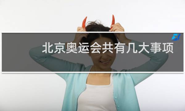 北京奥运会共有几大事项