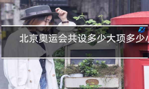 北京奥运会共设多少大项多少小项