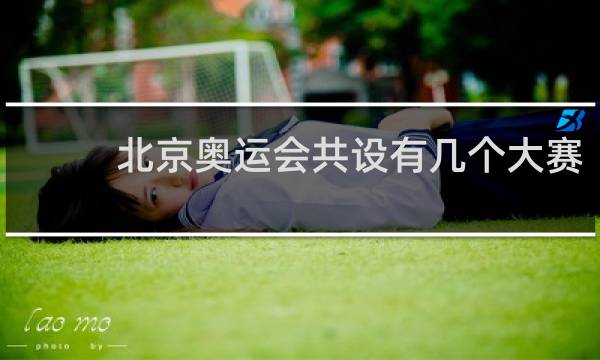 北京奥运会共设有几个大赛